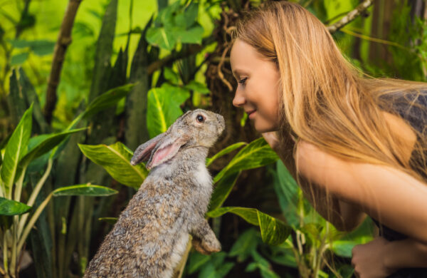 Por que escolher marcas que não testam em animais?