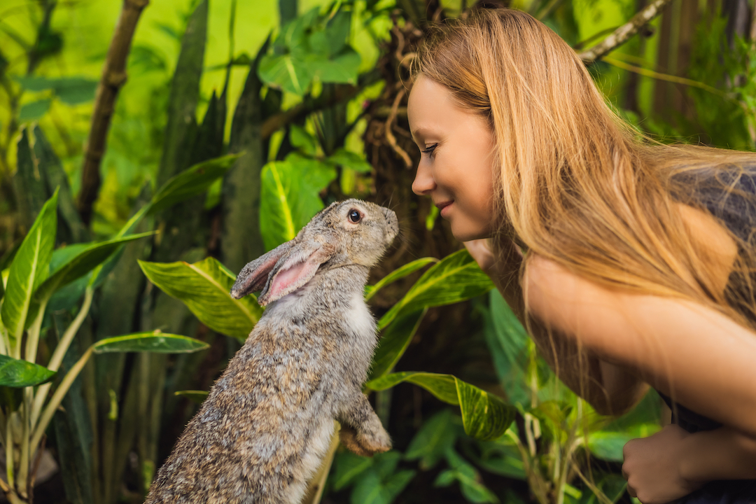 Leia mais sobre o artigo Por que escolher marcas que não testam em animais?